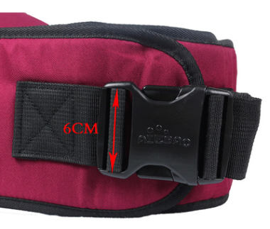 Baby Hip Carrier